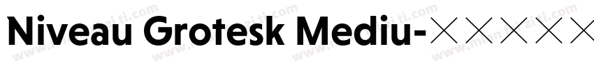 Niveau Grotesk Mediu字体转换